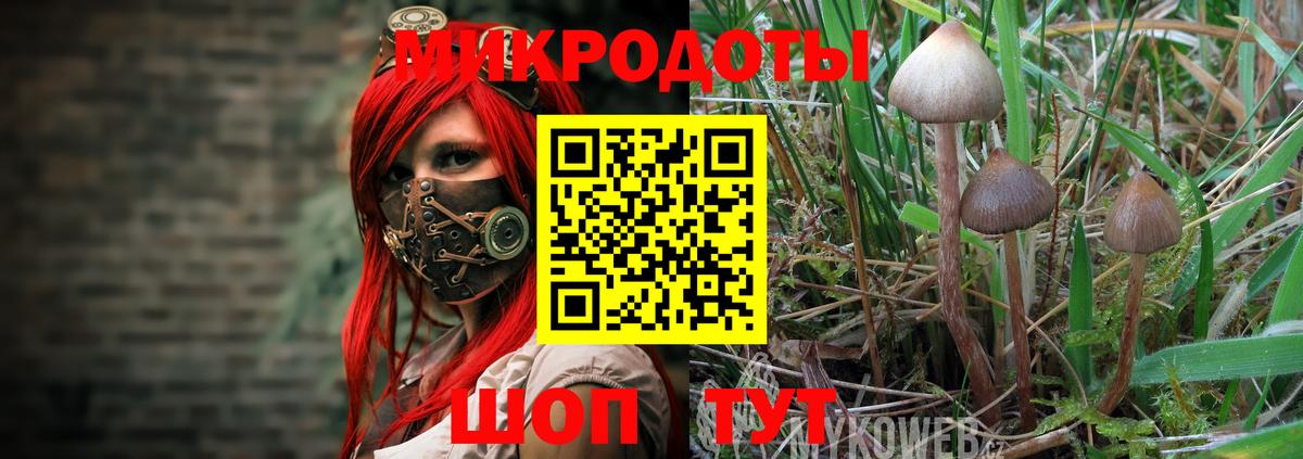 Галлюциногенные грибы прущие грибы Тавда