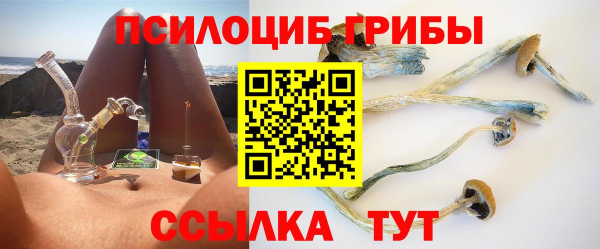 Псилоцибиновые грибы прущие грибы  купить закладку  Тавда  Вход с VPN  Псилоцибиновые грибы ЛСД 